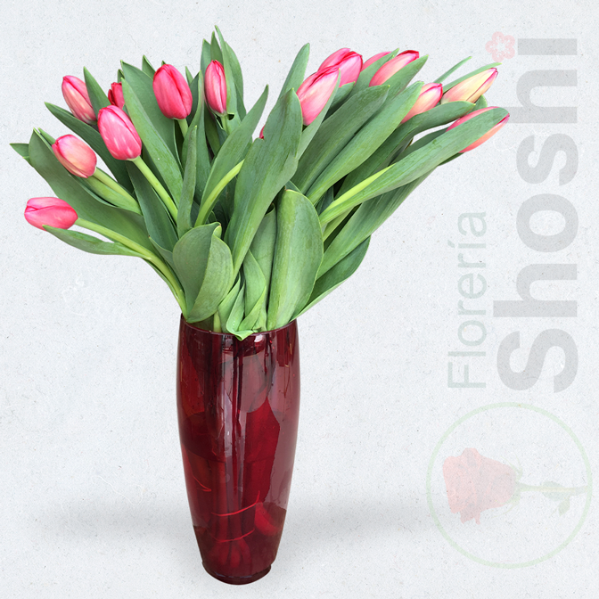 Florero con tulipanes FT01